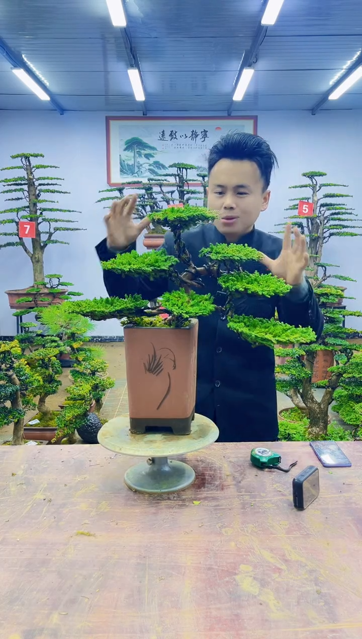 【闪购商品】一物一拍，所见即所得