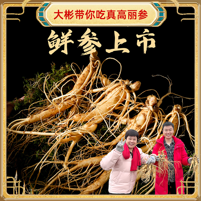  鲜人参 榆林毛乌素沙漠鲜参500g煲汤原料