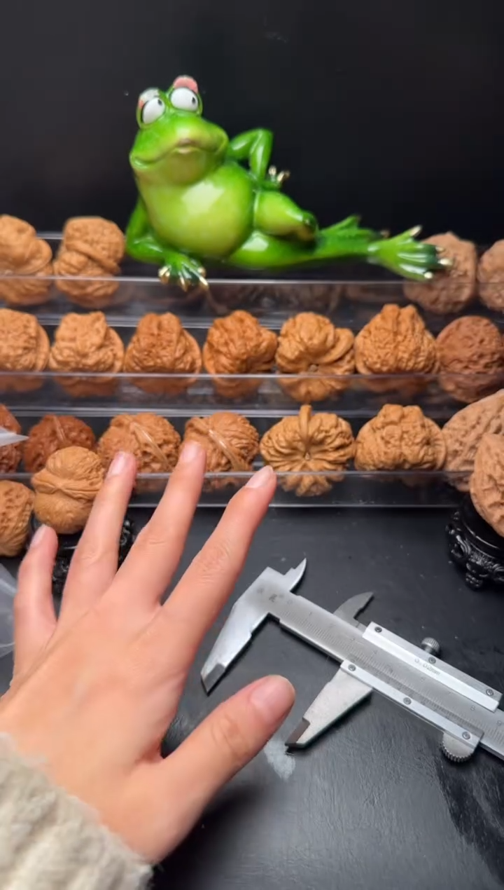 核桃彬**o02编号呢