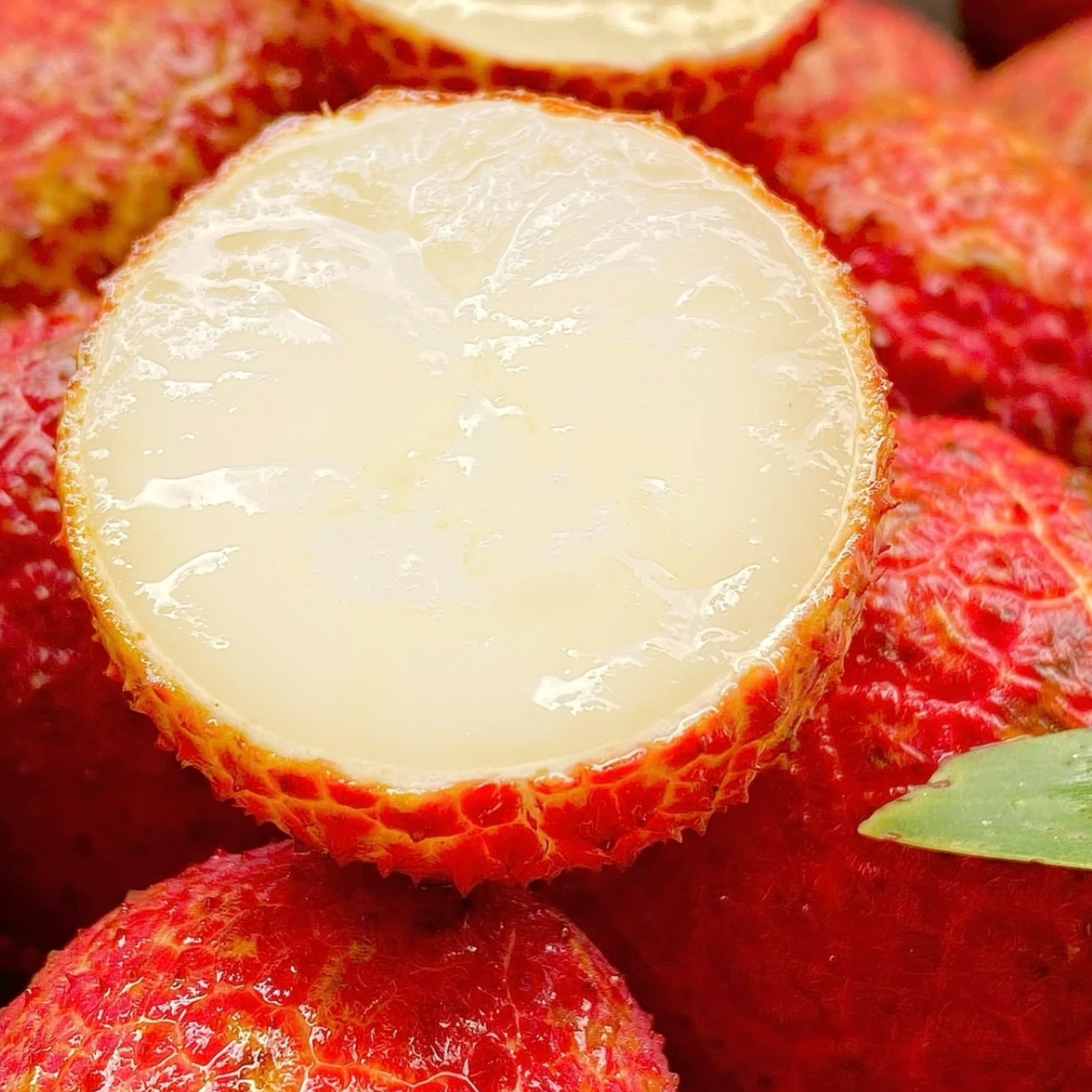 供销社甄选 当季限定三倍体无核3～5斤巨无霸鲜甜味浓  【顺丰包邮】