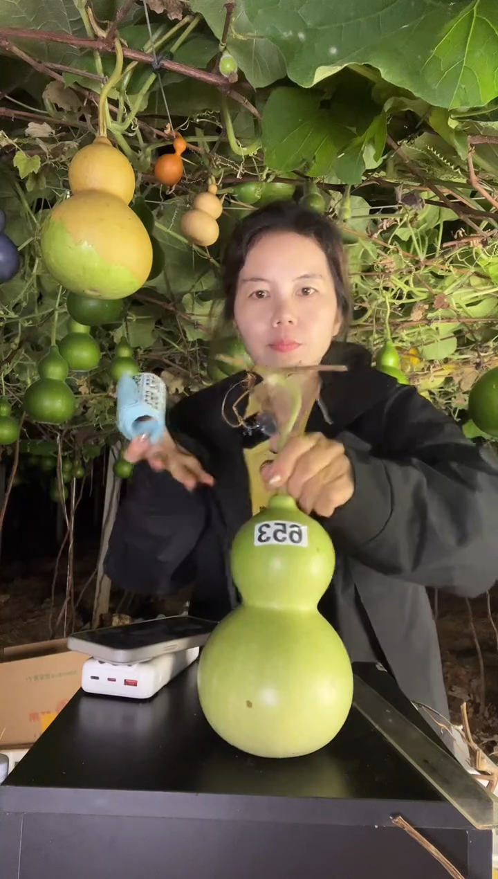芃*653天然葫芦摆件 一物一拍龙头不保售后