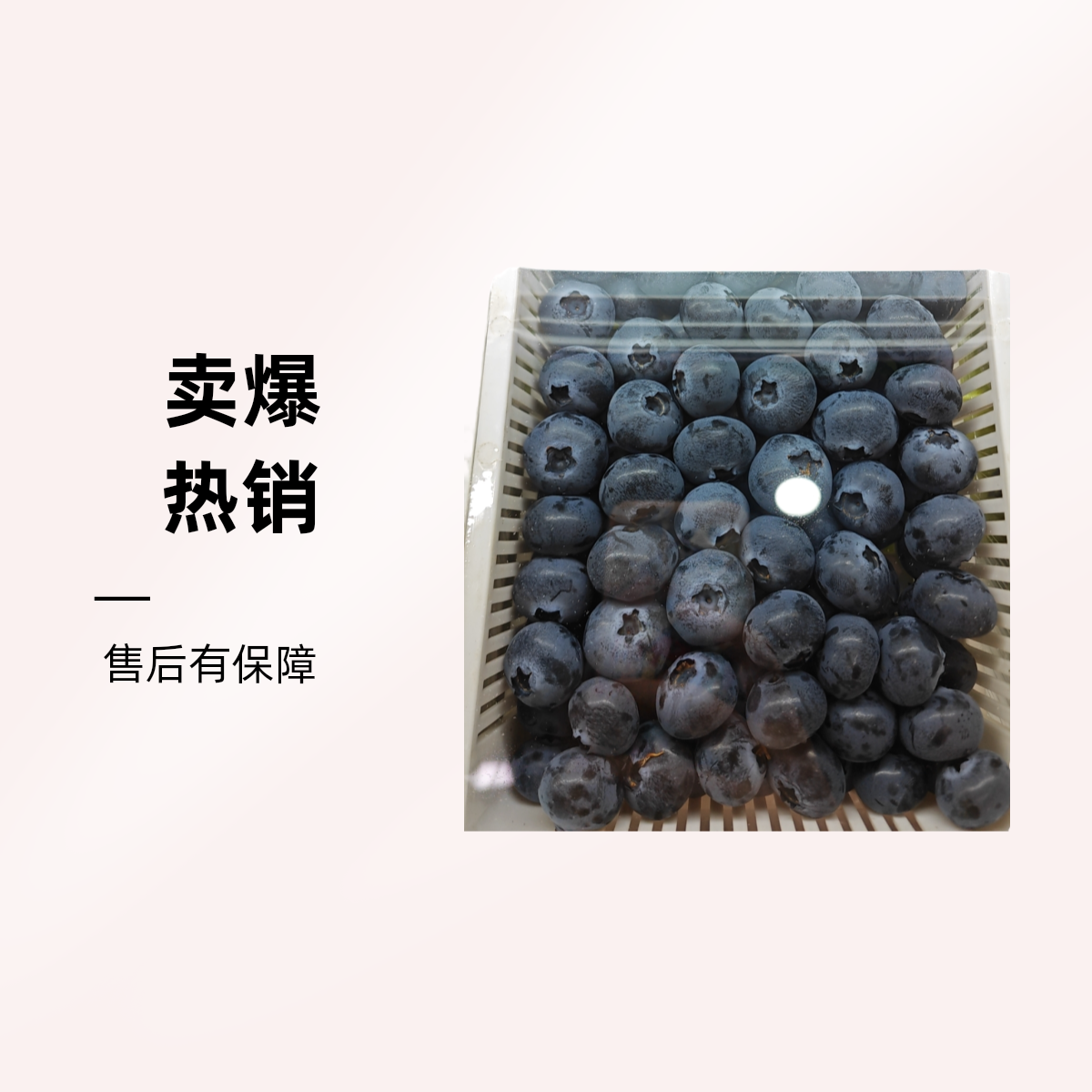 山东超大蓝莓500g（18mm+）烟台蓝莓山东省烟台市