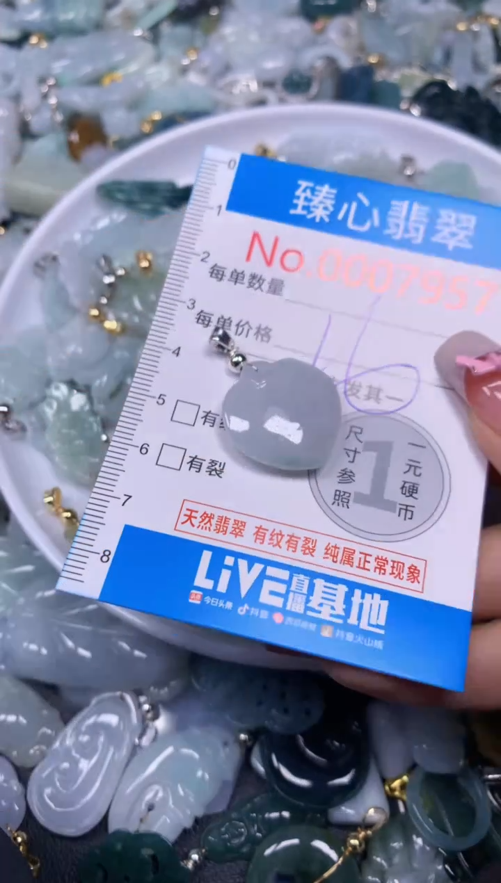 【闪购商品】翡翠颈饰未镶嵌含绳000