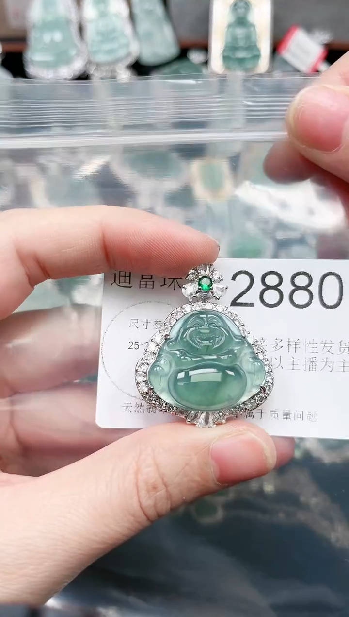 【闪购商品】翡翠颈饰未镶嵌2880赠皮绳