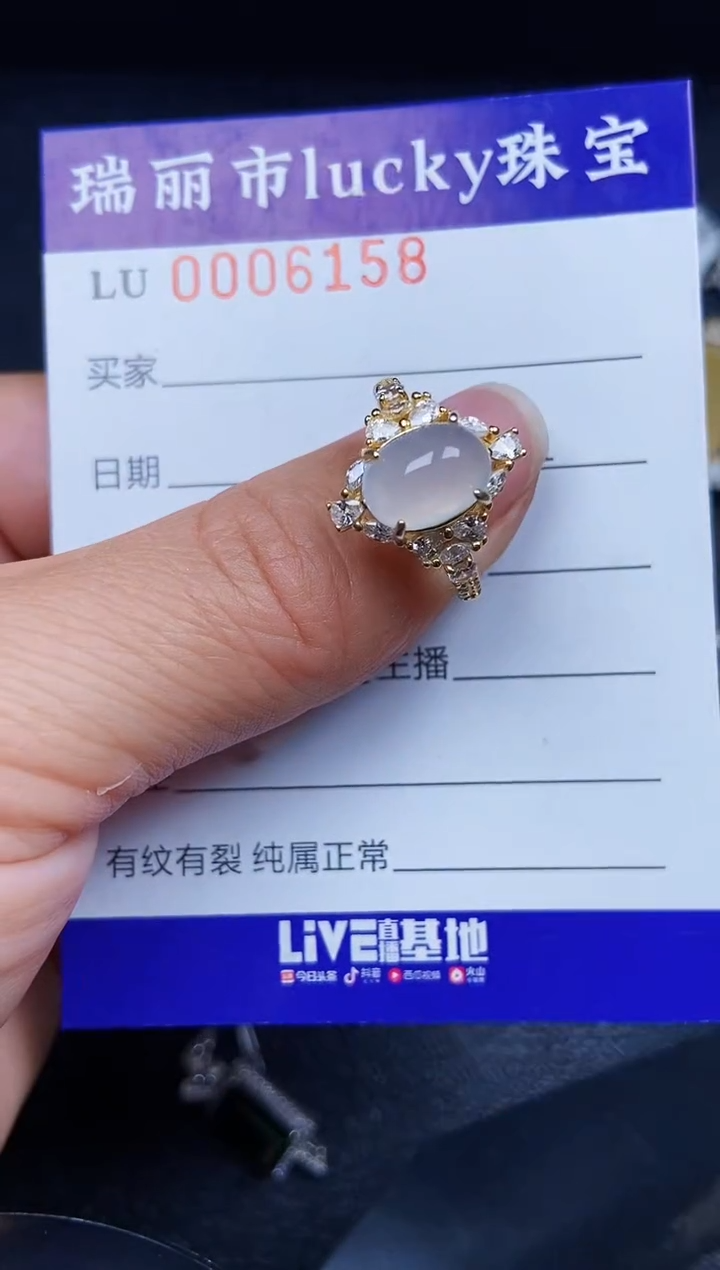 翡翠银S925镶嵌颈饰6158