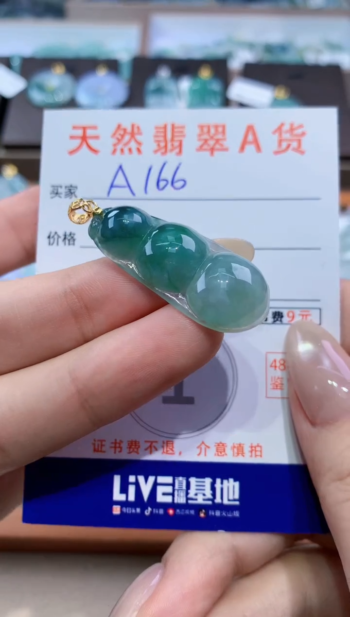 颈饰未镶嵌翡翠天然缅甸翡翠A货挂件 