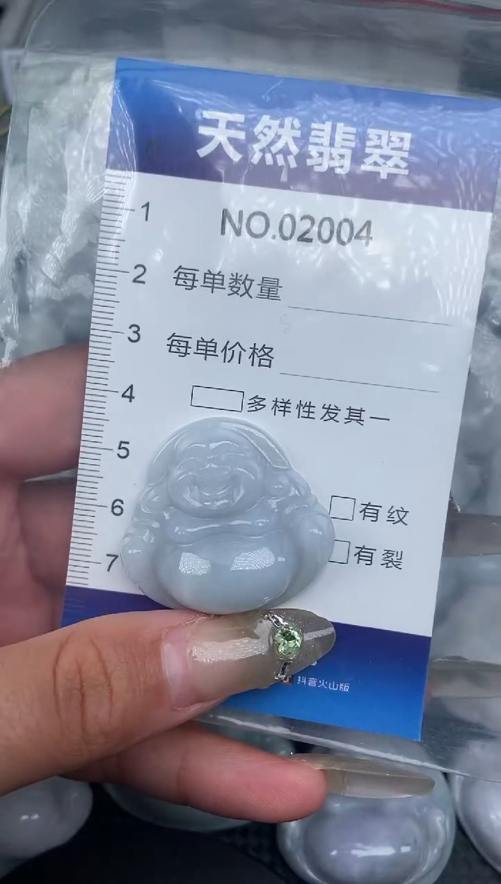 颈饰未镶嵌翡翠纯天然A货翡翠2004