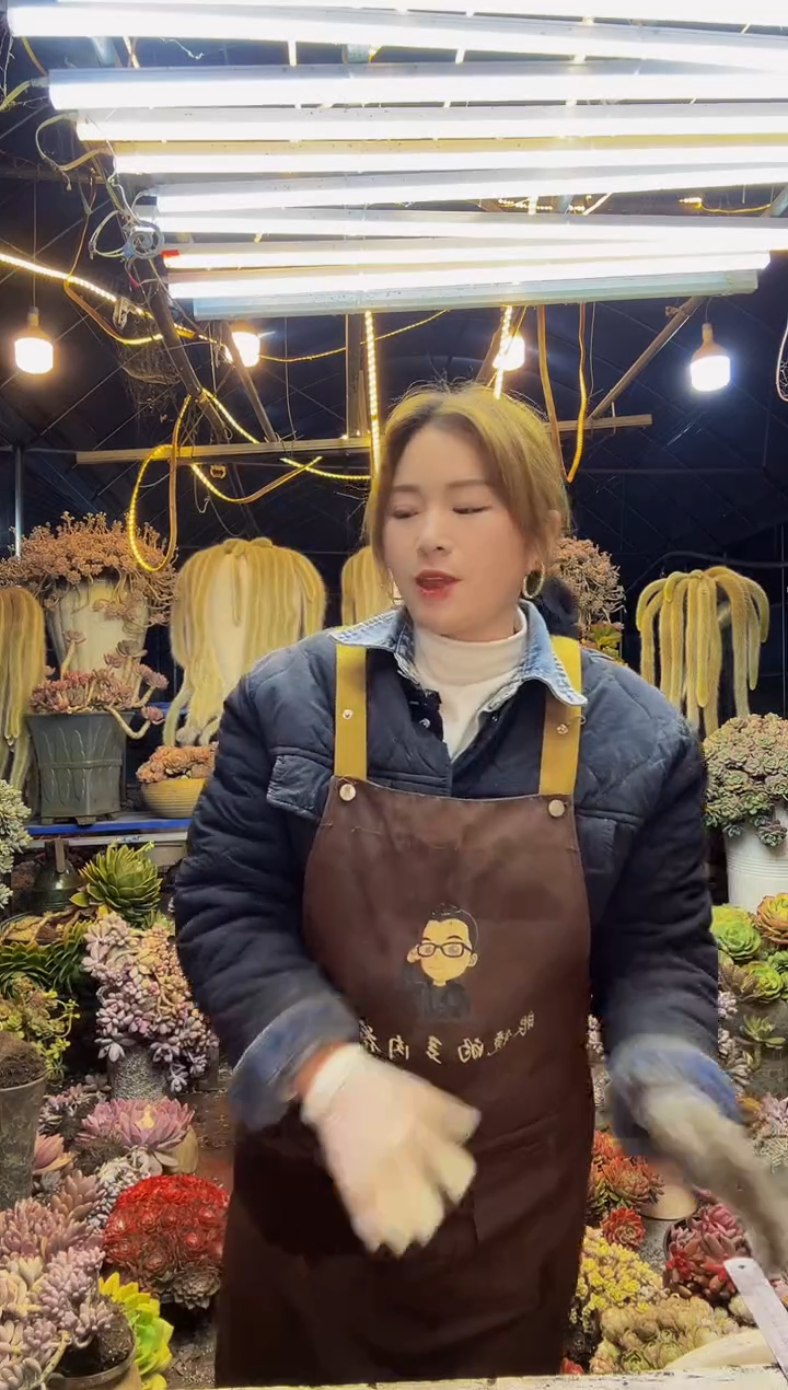 【闪购商品】一物一拍脱土包邮