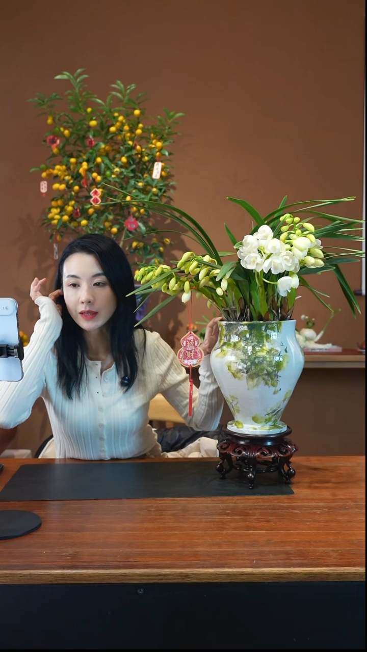 全部花朵玉兔盆景盆景盆景