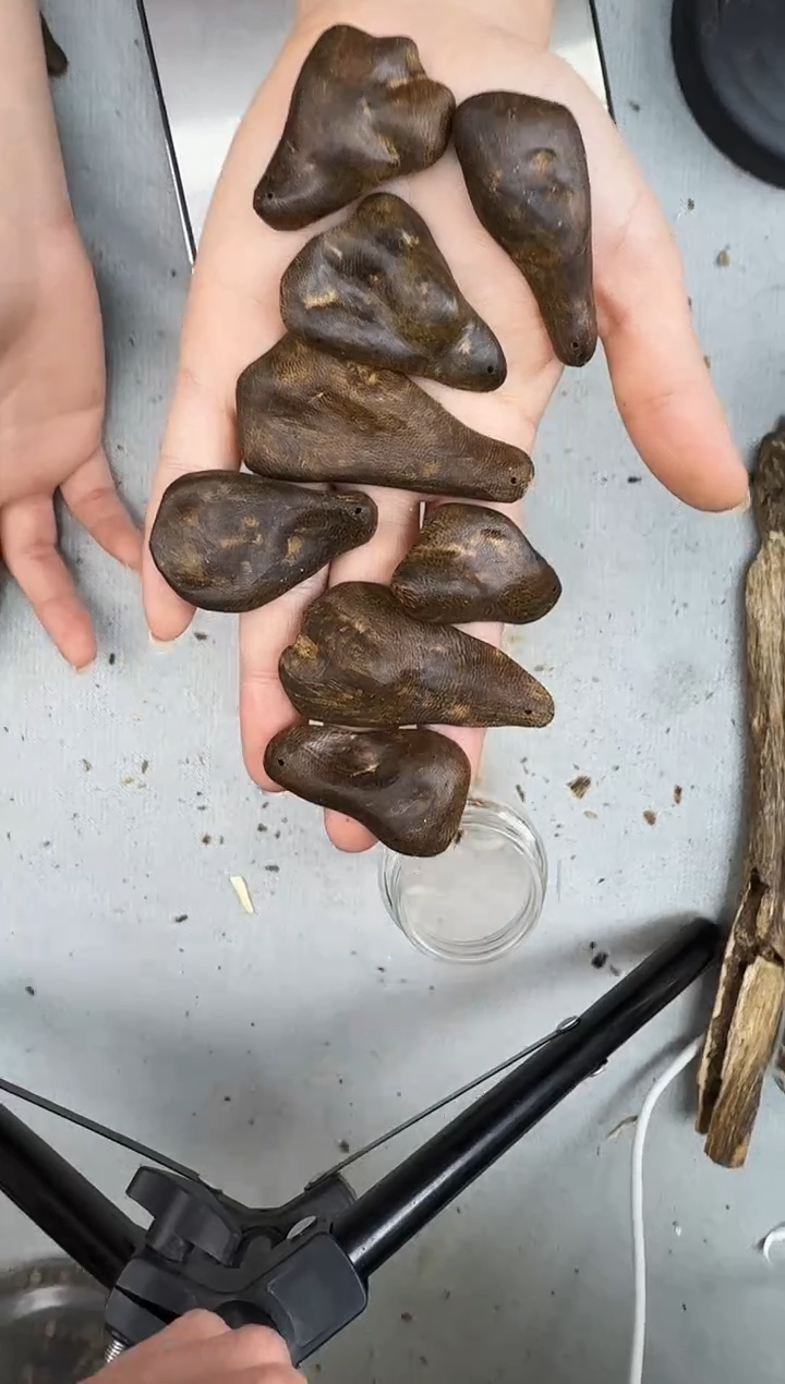 沉香沉香碎屑B89包壳白棋静静沉香甄选多样性发一