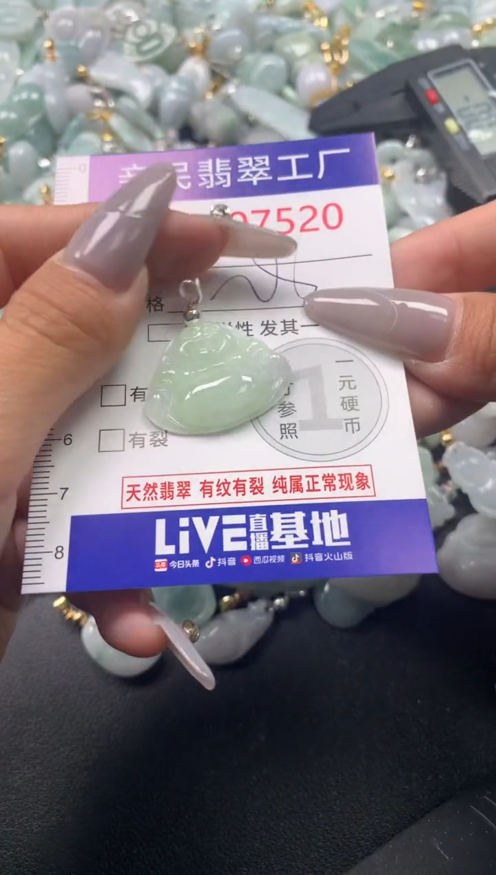 颈饰未镶嵌翡翠7520