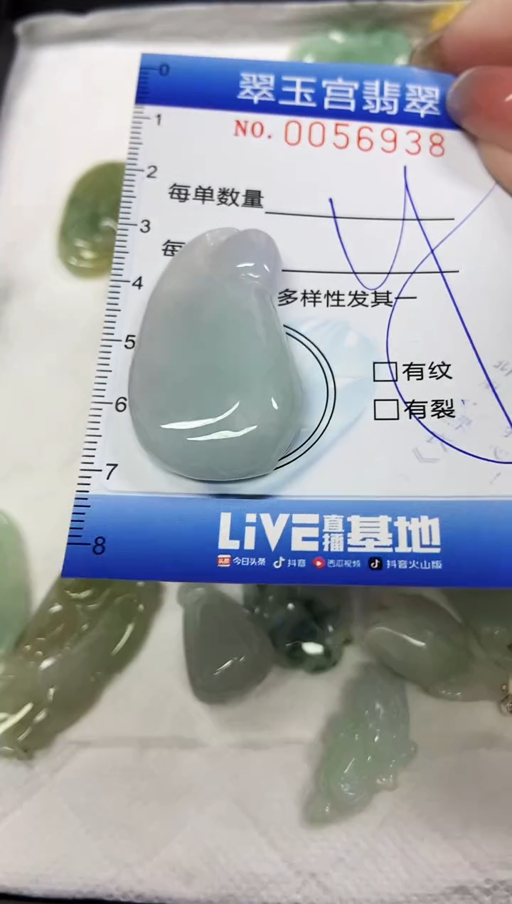 【闪购商品】翡翠颈饰未镶嵌闪购商品0056938