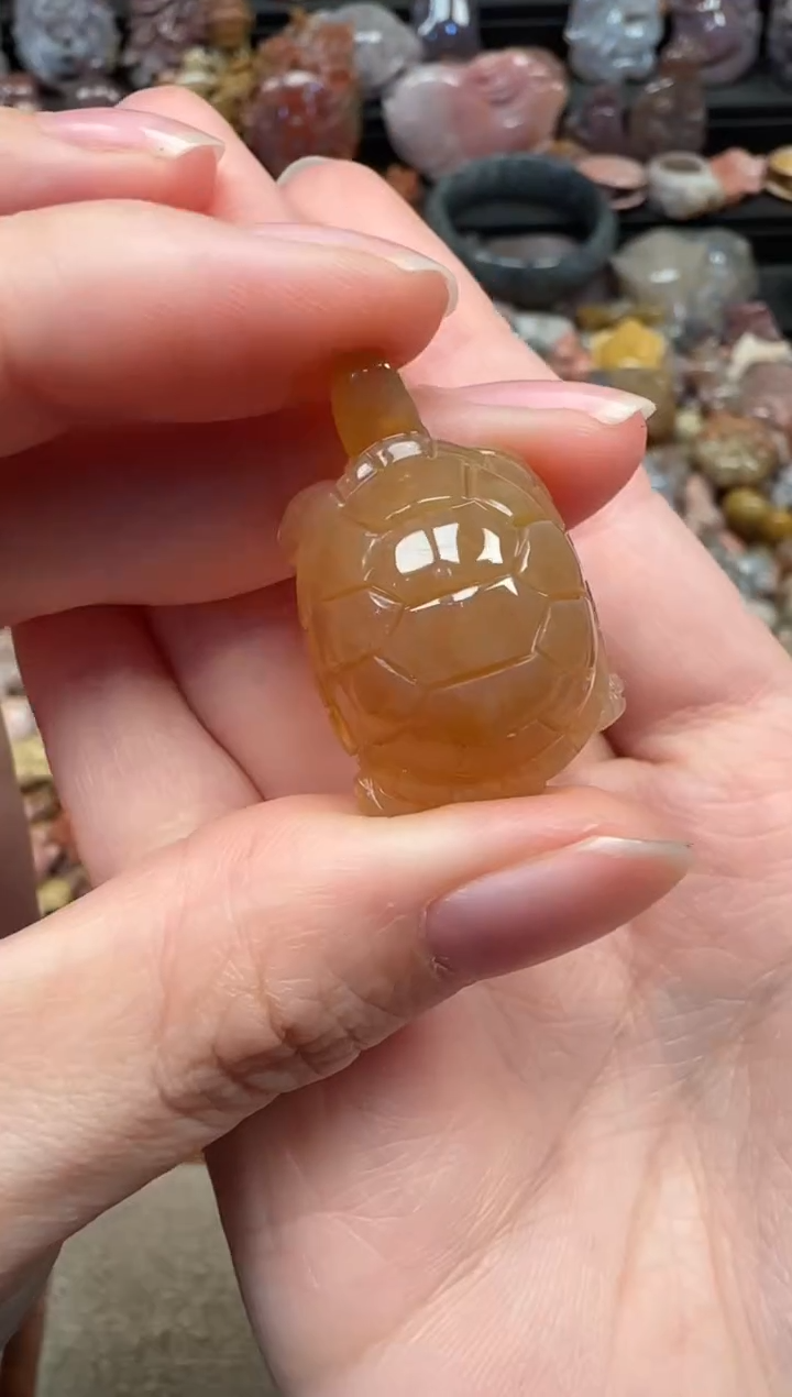 颈饰未镶嵌硅化珊瑚（珊瑚玉）211