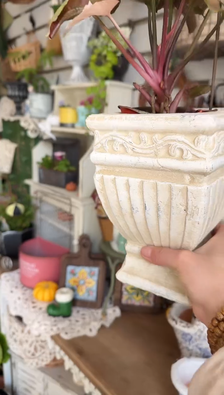 做旧白方形酒杯盆