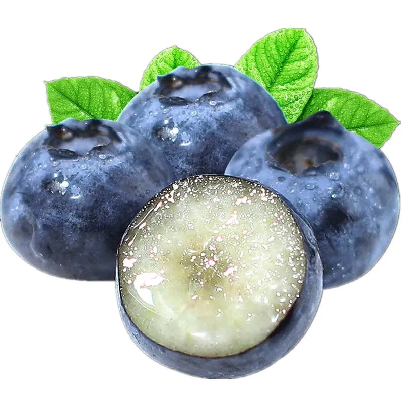 怡颗莓进口蓝莓中果125g/盒
