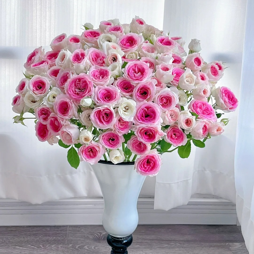 【午夜魔法】多头泡泡，0度以下未拍保温棉冻伤不售后