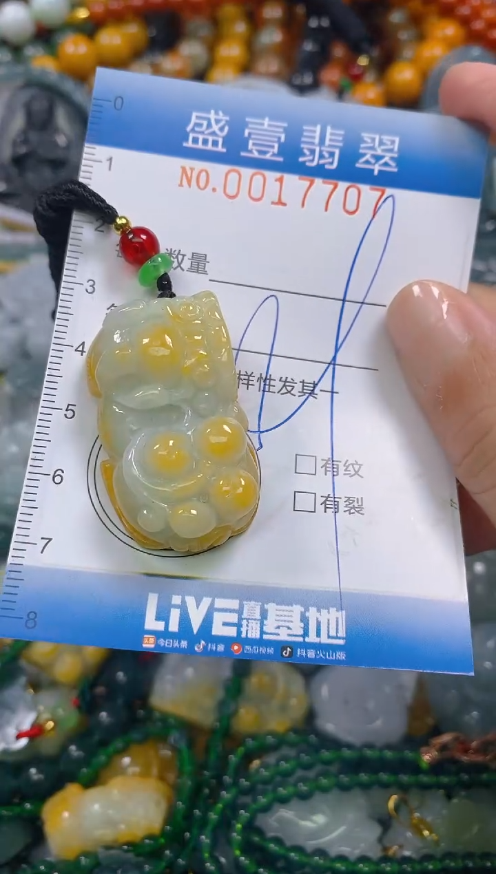 颈饰未镶嵌翡翠闪购0017707