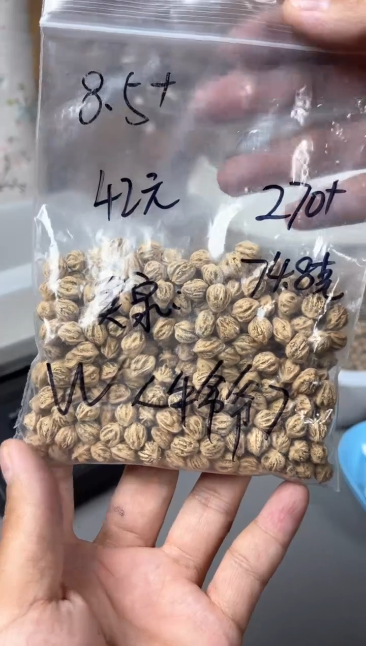 柏香籽/百香籽手串合上柏香热振散籽
