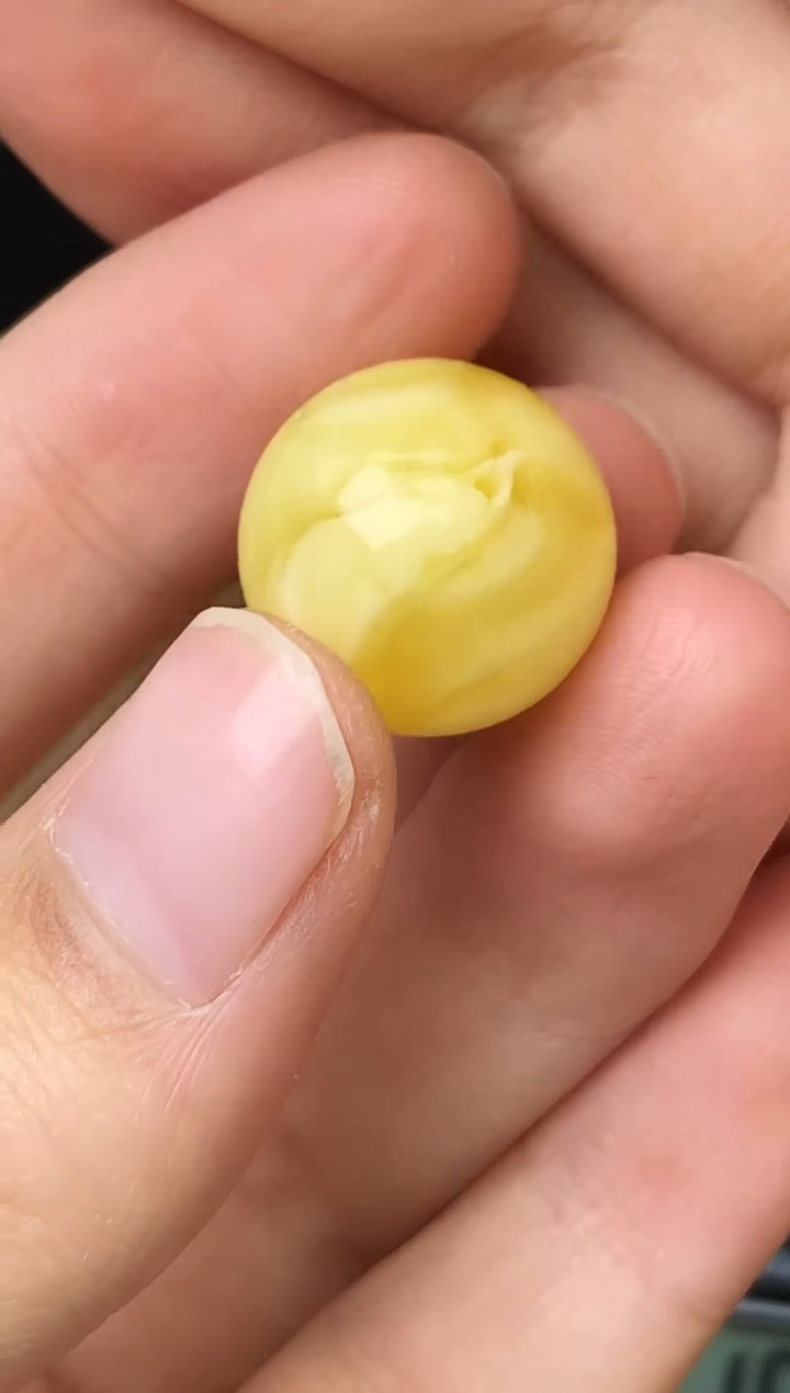 【闪购商品】琥珀珠宝奇石未镶嵌127