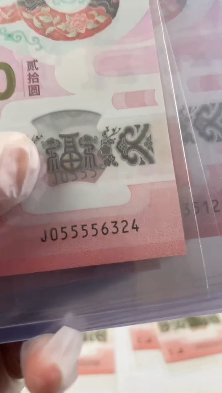 【闪购商品】塑料蛇钞九龙令4个5头尾号6324