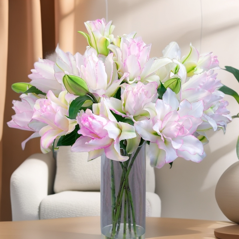 【植迷专属】冰美人 重瓣香水百合花 清香层次感鲜花