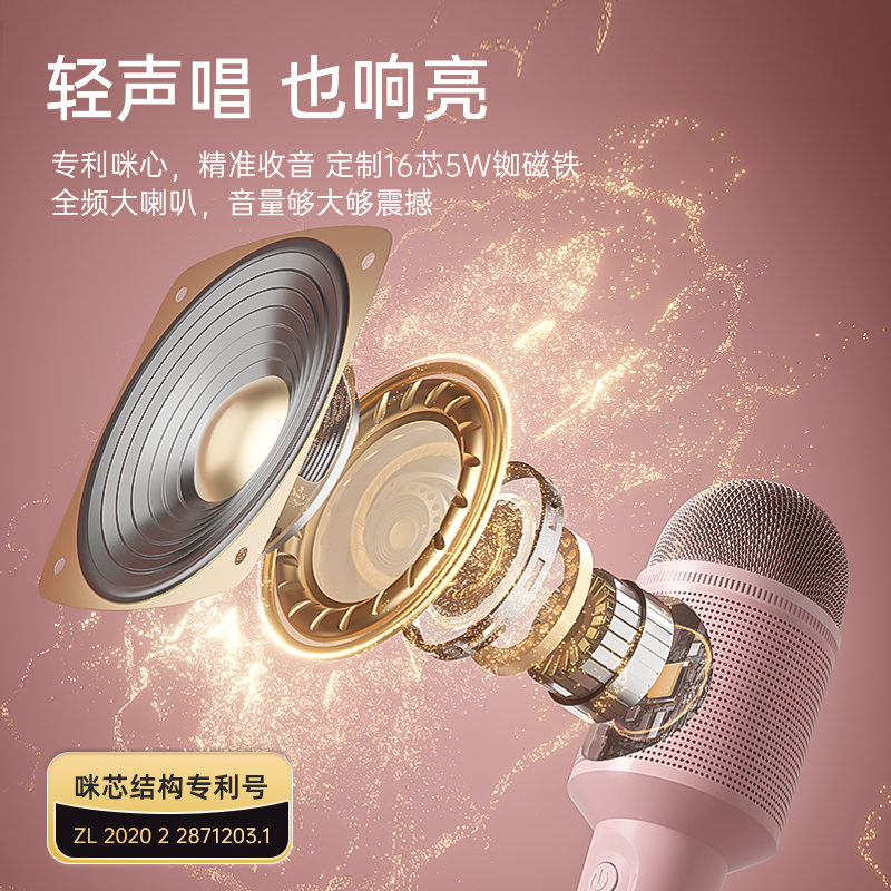 【唱歌专用】索爱mc8蓝牙话筒声卡音箱一体麦户外便携家庭ktv音响 图片 2