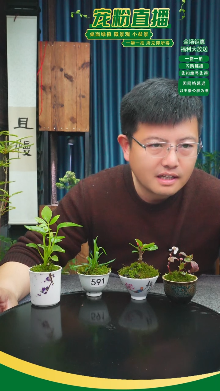 无花朵L****端苔藓微景观591号