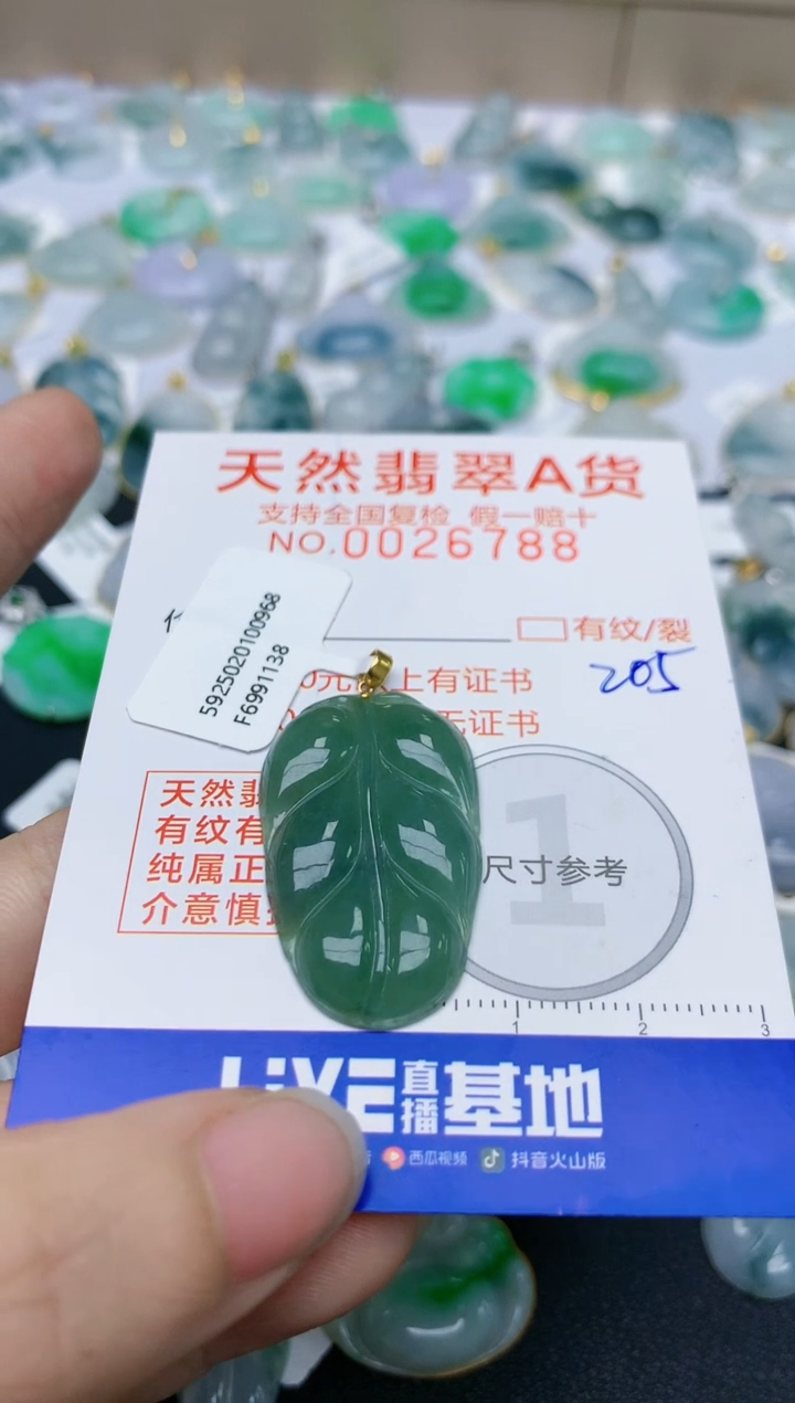 【闪购商品】翡翠颈饰18K金镶嵌天然翡翠A货    205