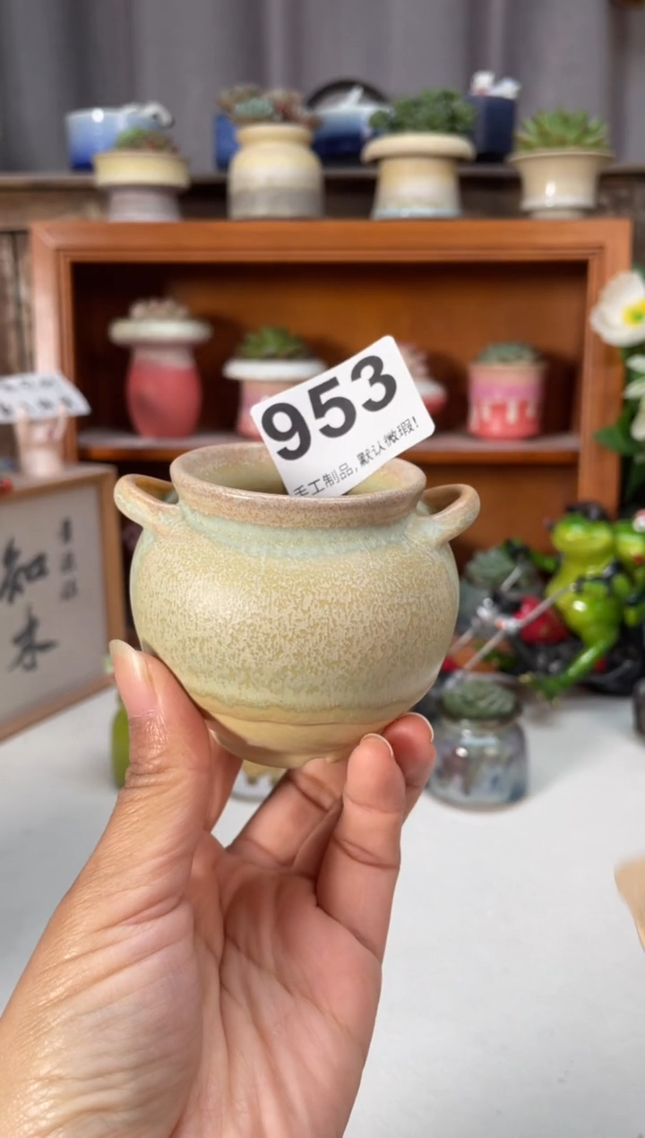 瓷片953小芳直播编号