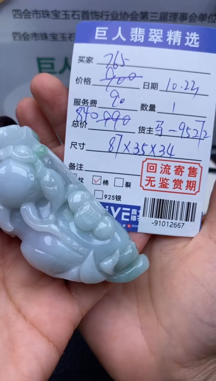 【闪购商品】翡翠颈饰未镶嵌多人-91012667