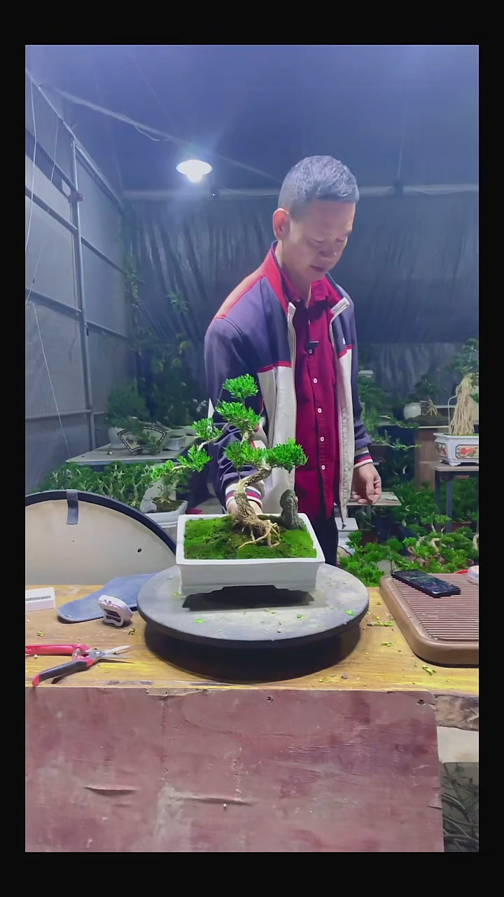 完全开放王*111111111