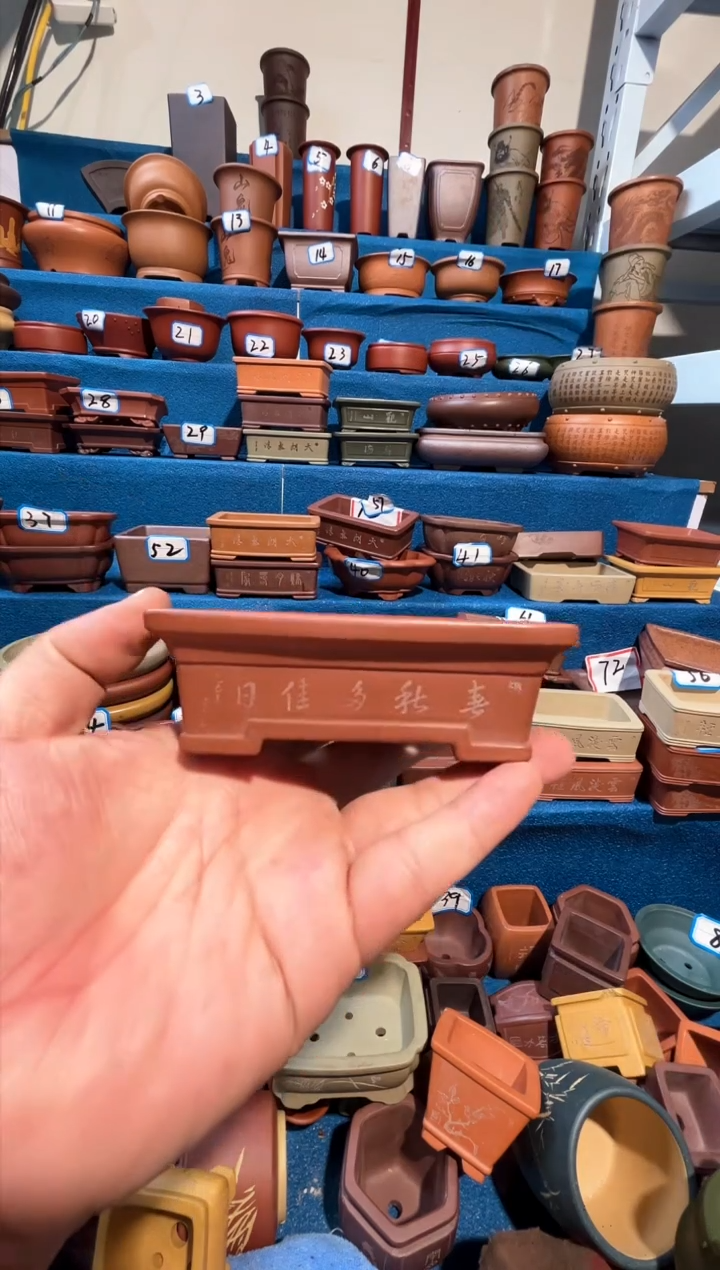 【闪购商品】紫砂紫砂花盆10*7.5*3