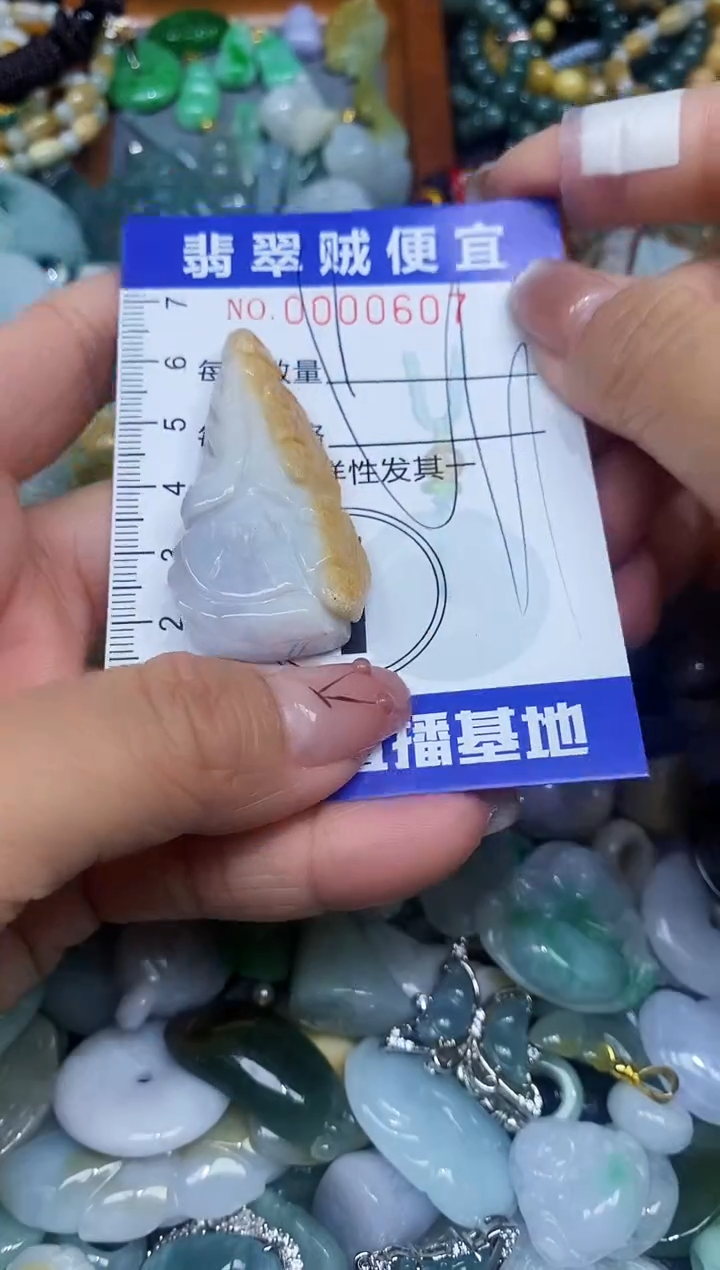 【闪购商品】翡翠颈饰未镶嵌闪购0000607