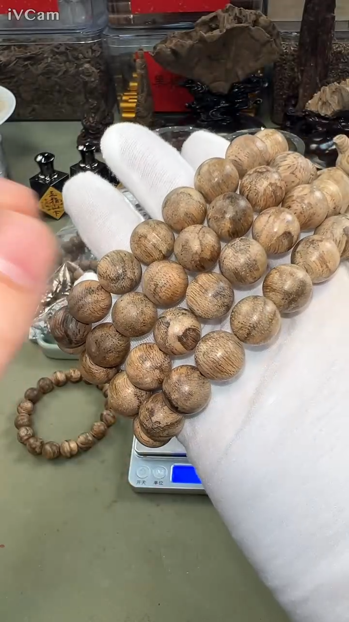 虎斑伽罗香皇13mm单圈多样性发其一