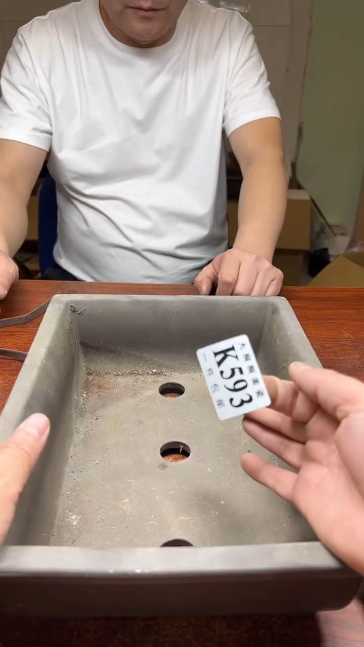 【闪购商品】杯大桐桐美瓷1号商品593