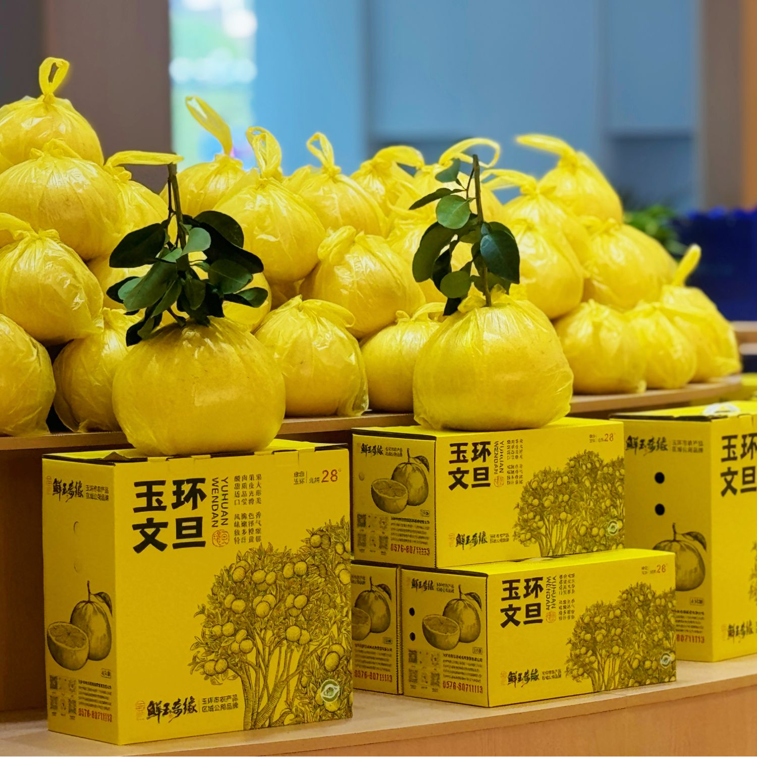 鲜玉奇缘玉环正宗文旦礼盒装当季新鲜采摘文旦柚