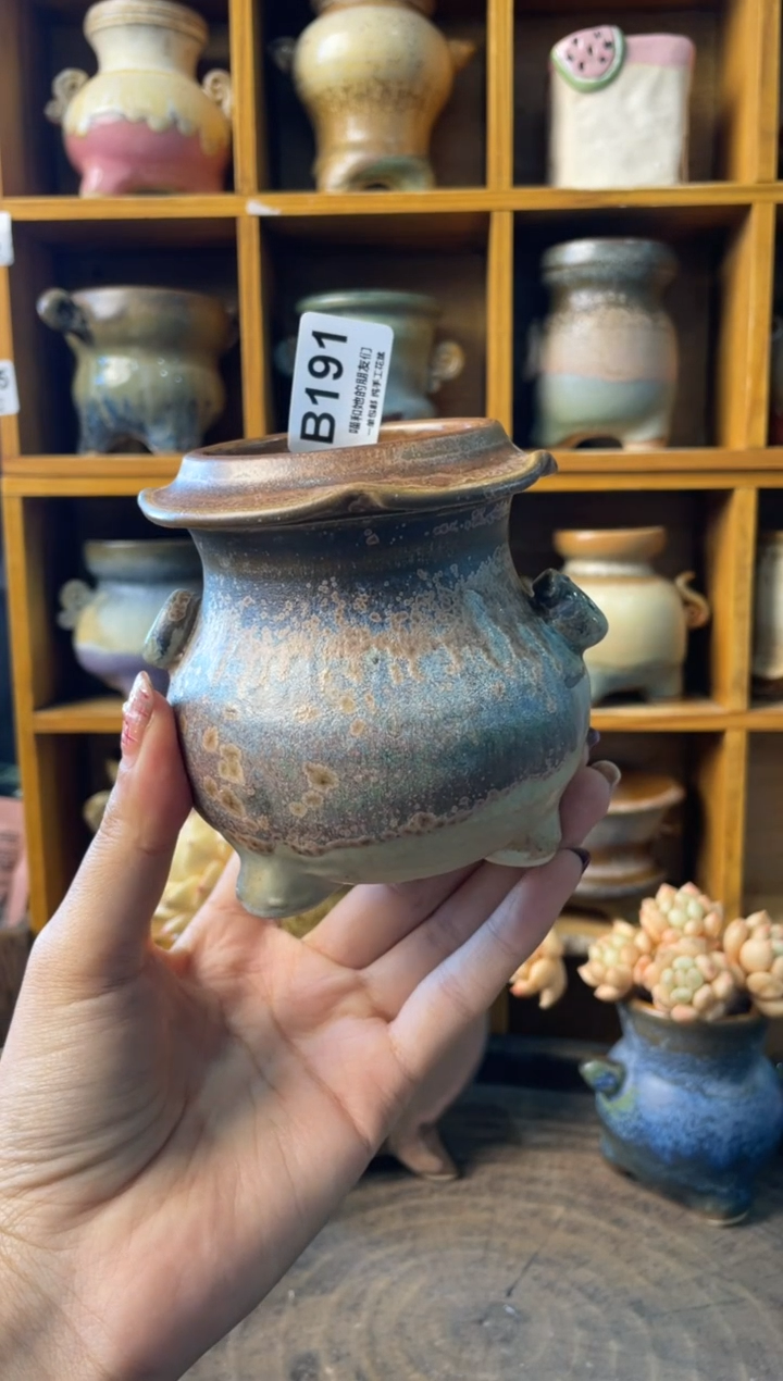 ?****️191【多肉花盆多肉盆】