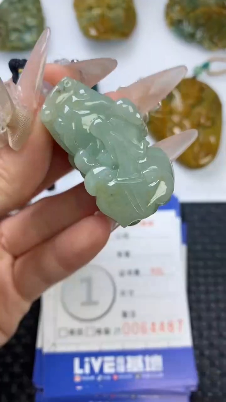 【闪购商品】翡翠颈饰未镶嵌1111111111111111