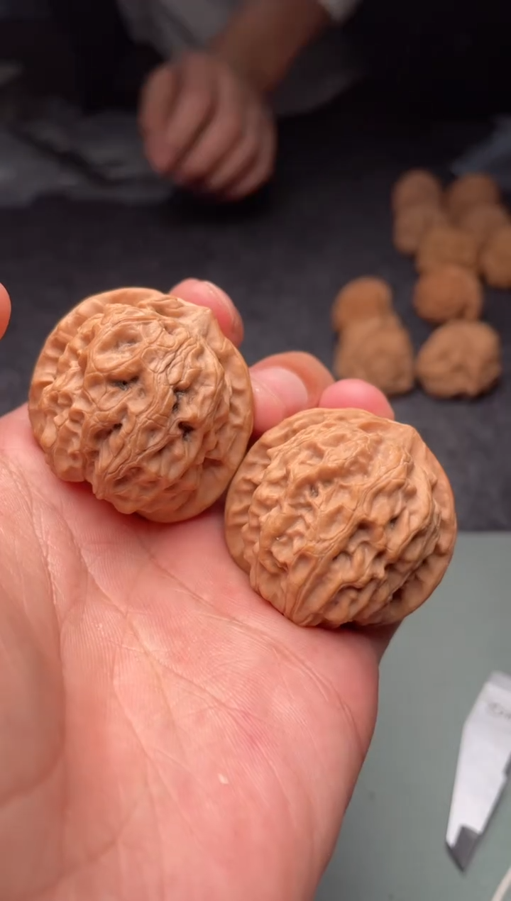 把件文玩核桃a99 龙脉    37尺