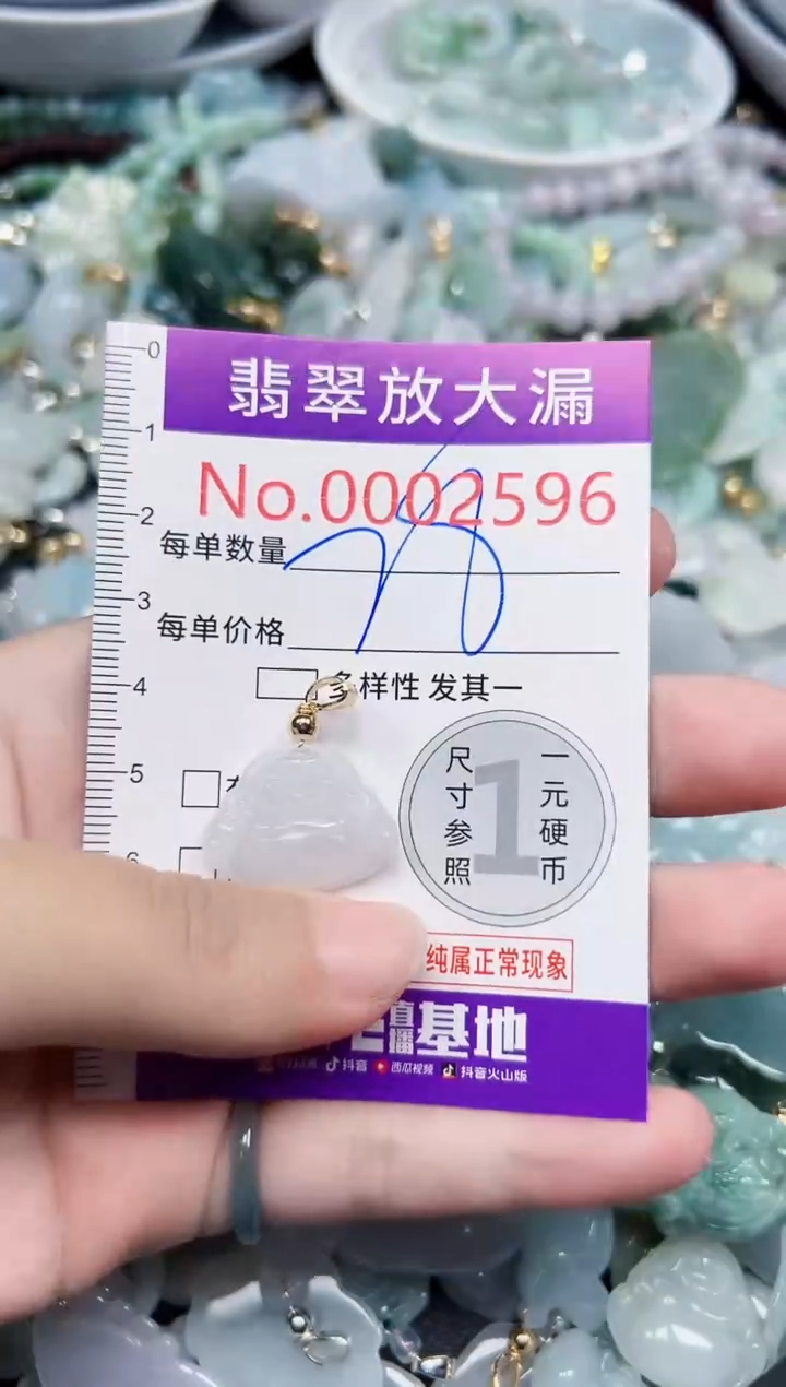 颈饰未镶嵌翡翠2596