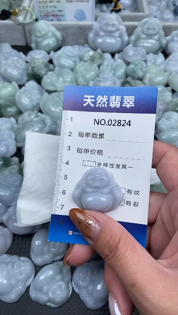 颈饰未镶嵌翡翠纯天然A货翡翠2824
