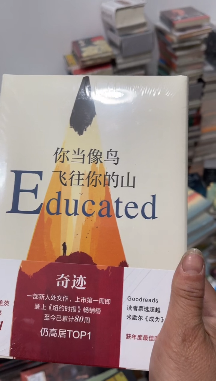 你当像鸟飞往你的山 