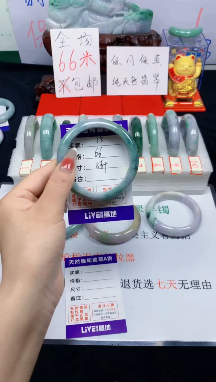 未镶嵌手镯翡翠15