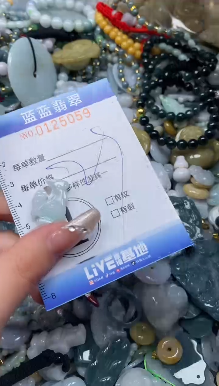 【闪购商品】翡翠颈饰未镶嵌闪购0125059