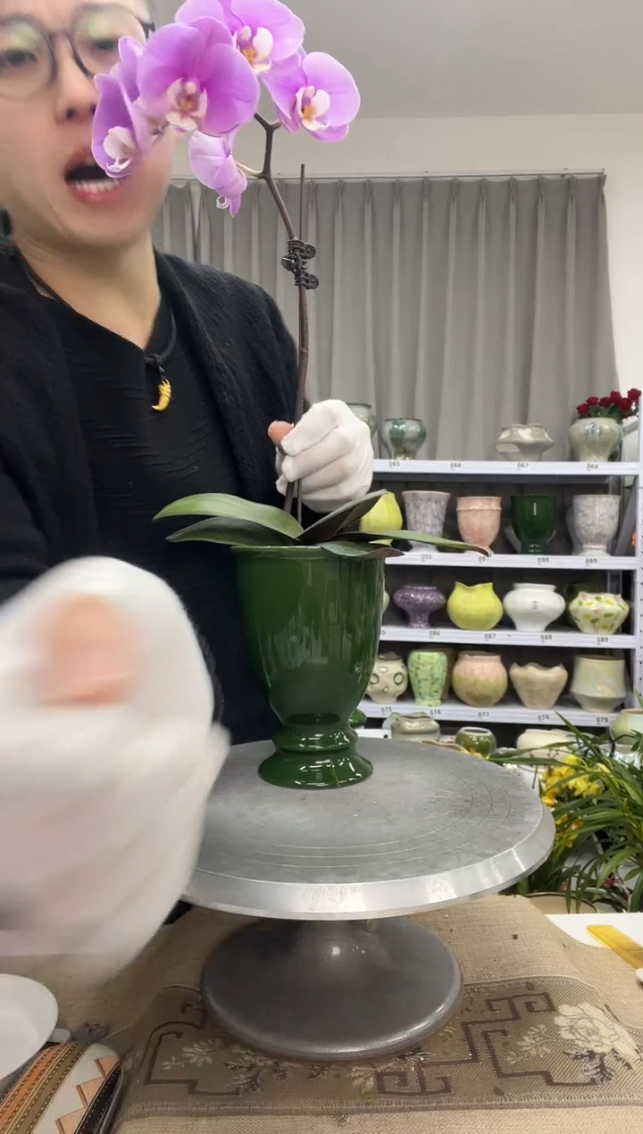 【12.27】花盆链接 高：  17口：11