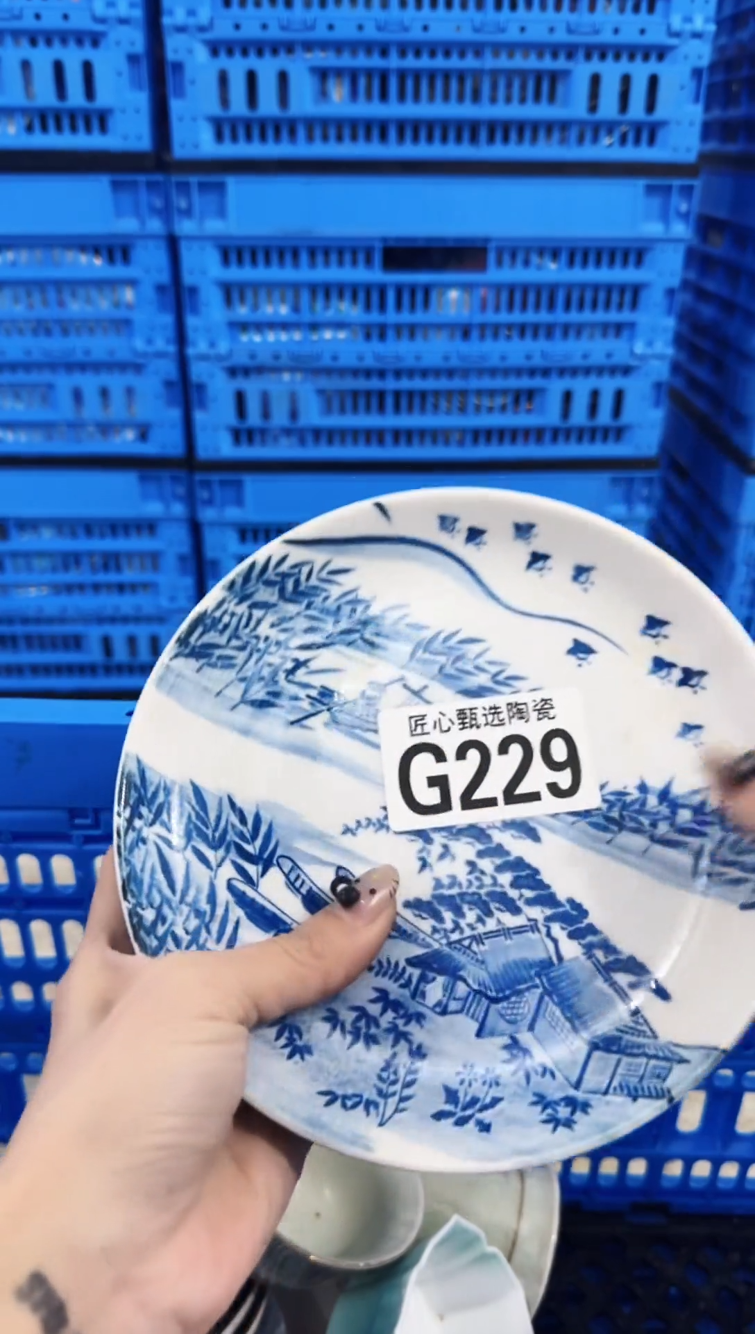 瓷片-***-        G229