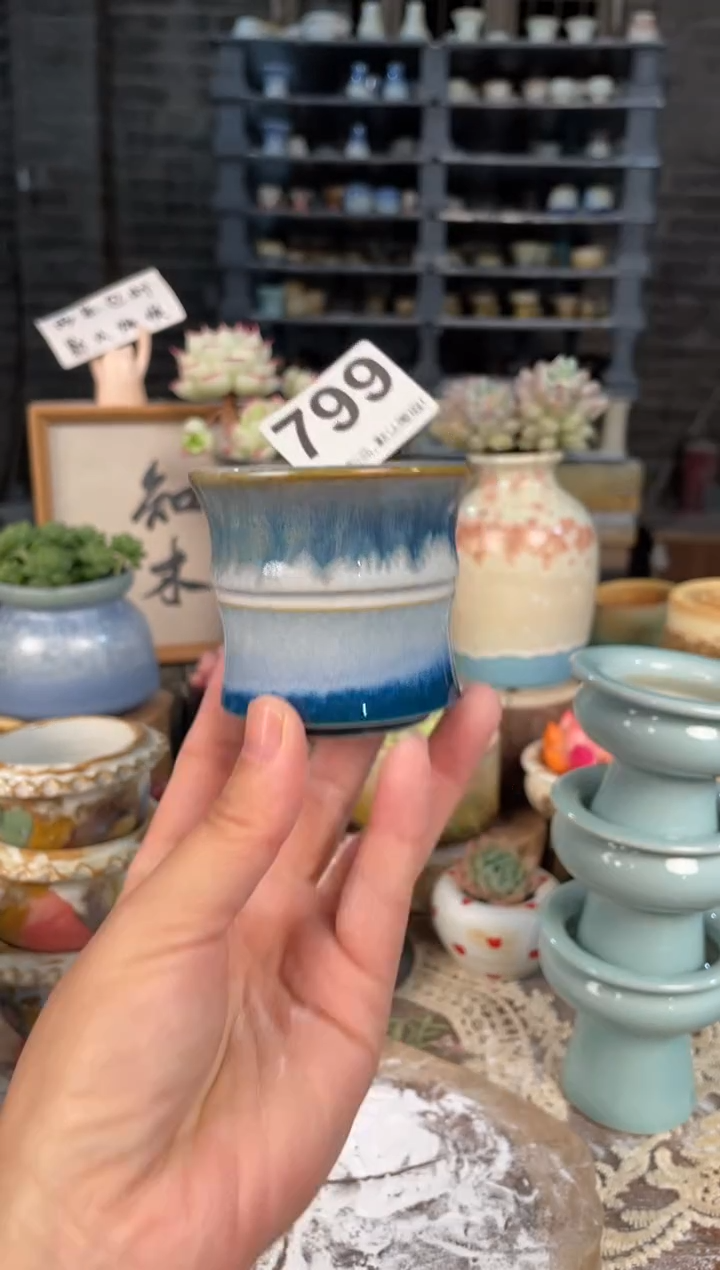 瓷片799知木小芳花盆直播编号