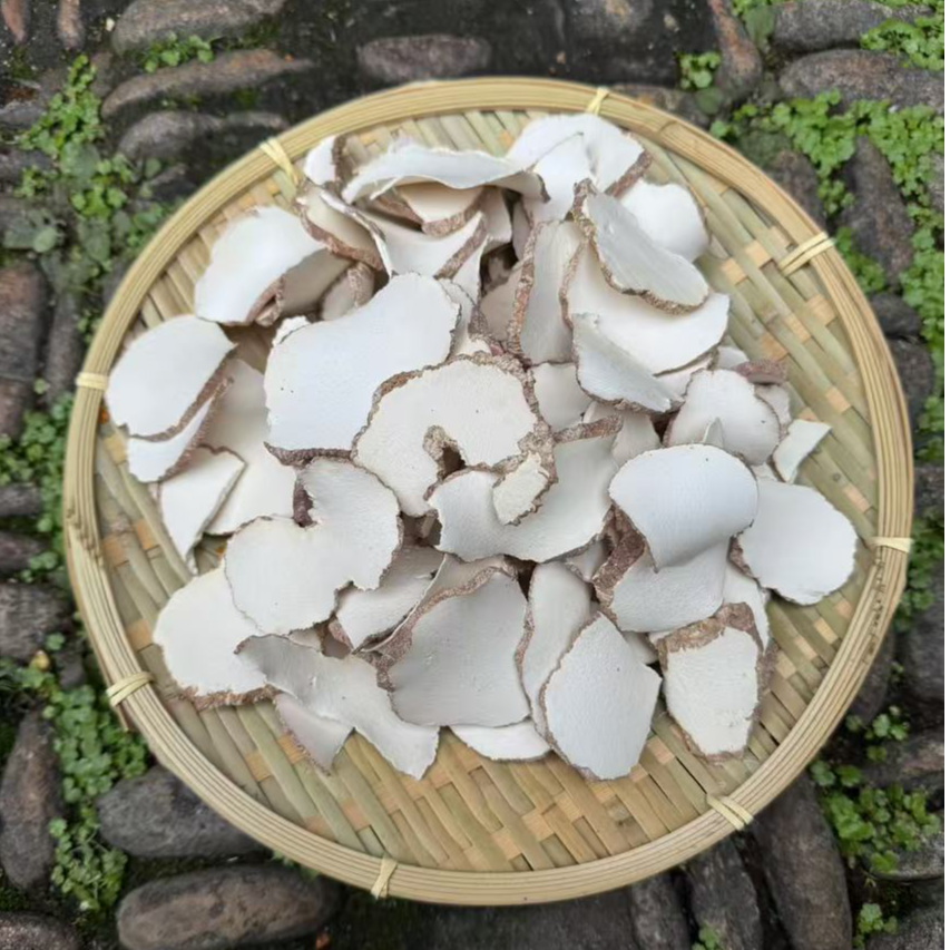 高山 农家 虎乳菌 