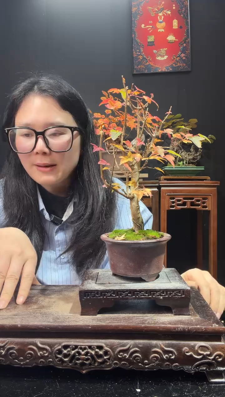 完全开放000唐枫0000