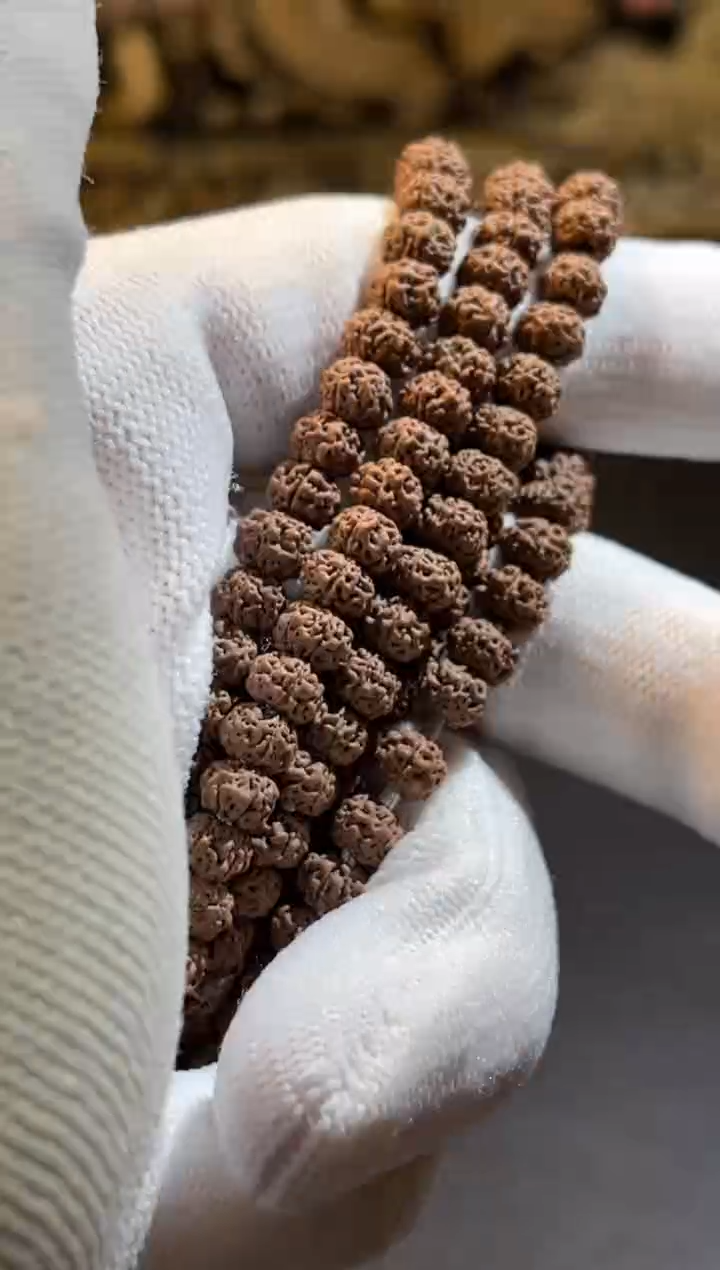 【闪购商品】金刚菩提吊坠5S级树祖脖挂5.5【拒绝差评】